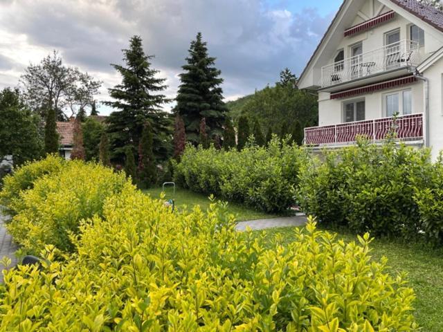 Villa Astoria Balatongyörök 외부 사진